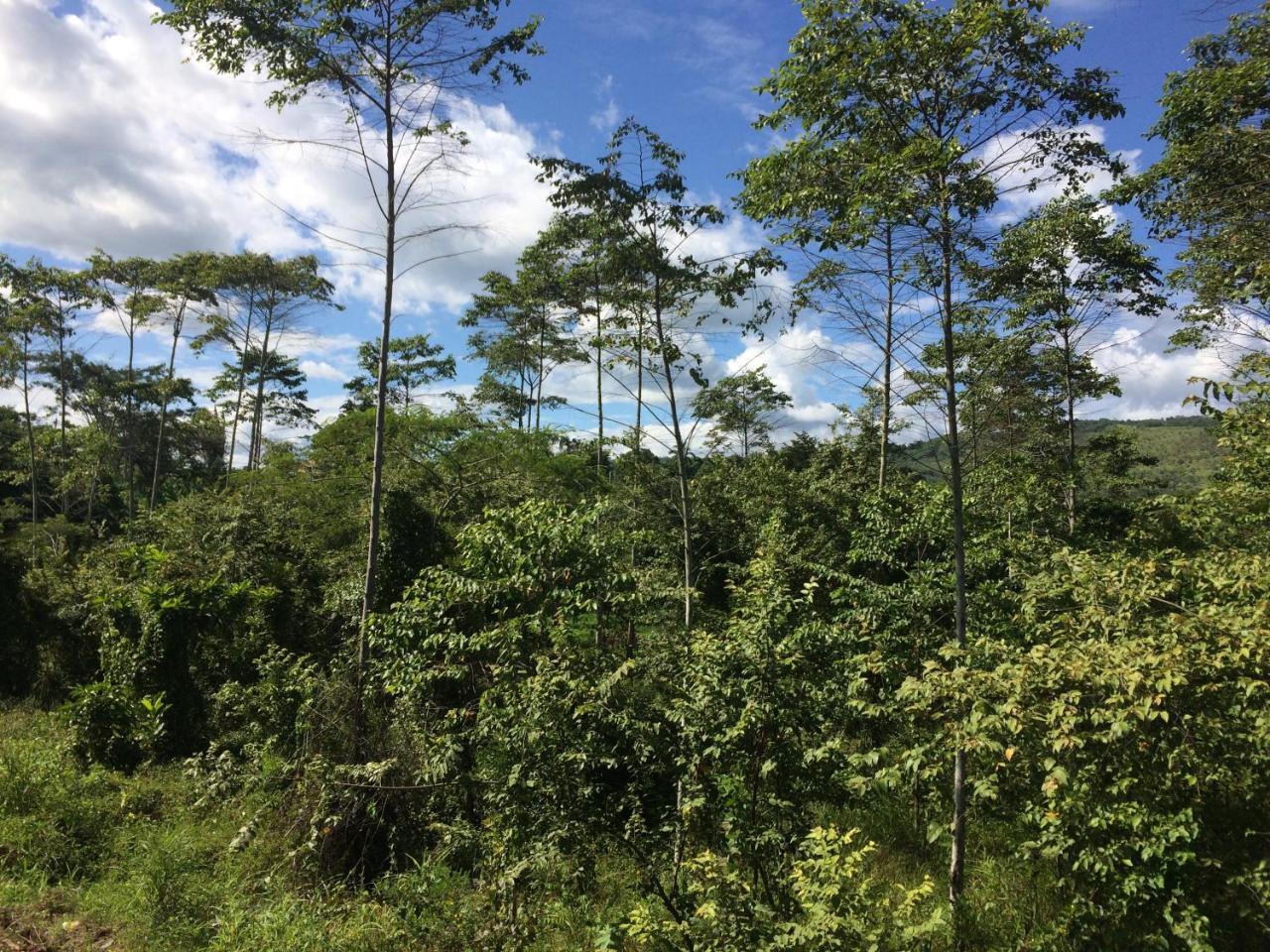 Hotel Colina De Montalva Tarapoto Zewnętrze zdjęcie